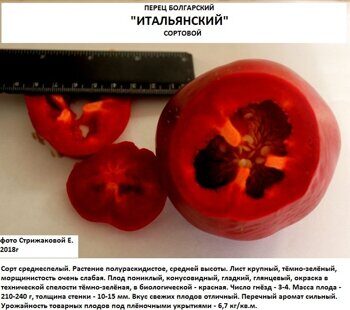 Перец ИТАЛЬЯНСКИЙ. Среднеспелый. УЛЬТРАТОЛСТОСТЕННЫЙ. 5шт. Семена.